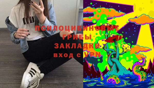 ПСИЛОЦИБИНОВЫЕ ГРИБЫ Богородск