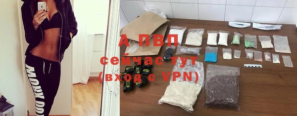 тгк Богородицк