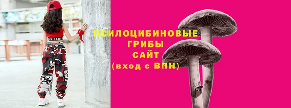 тгк Богородицк