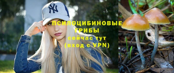 ПСИЛОЦИБИНОВЫЕ ГРИБЫ Богородск