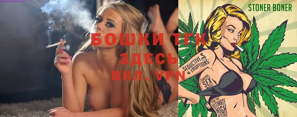 тгк Богородицк