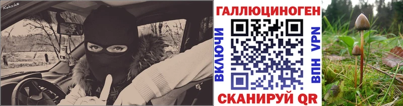 даркнет какой сайт  купить наркотики сайты  Саяногорск  Галлюциногенные грибы прущие грибы 