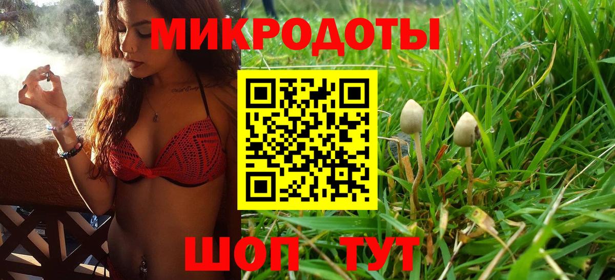 Галлюциногенные грибы Psilocybe  Вход с VPN  Саяногорск  Галлюциногенные грибы MAGIC MUSHROOMS 