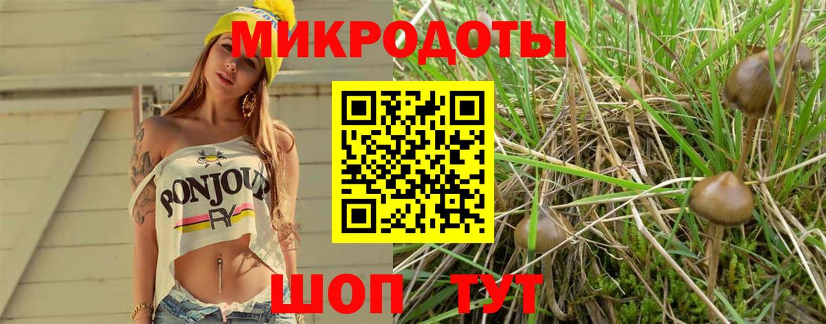 Псилоцибиновые грибы ЛСД Саяногорск